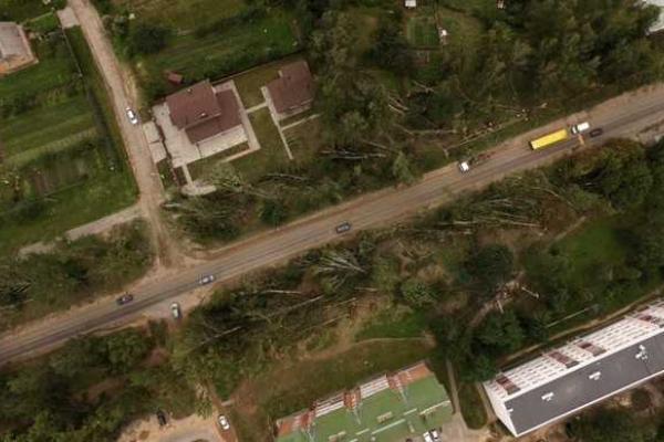 Последствия урагана в Беларуси сравнили с падением Тунгусского метеорита Последствия урагана в Беларуси сравнили с падением Тунгусского метеорита