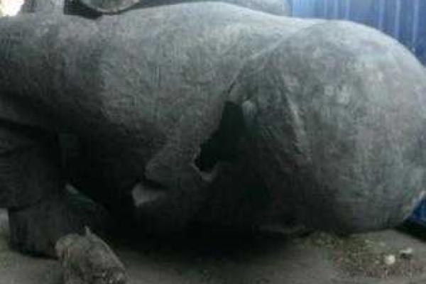 В Мариуполе демонтированные памятники Ленину покоятся на кладбище В Мариуполе демонтированные памятники Ленину покоятся на кладбище
