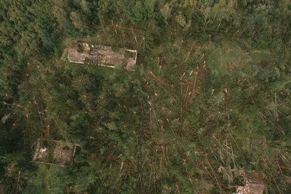 Последствия урагана в Беларуси сравнили с падением Тунгусского метеорита Последствия урагана в Беларуси сравнили с падением Тунгусского метеорита