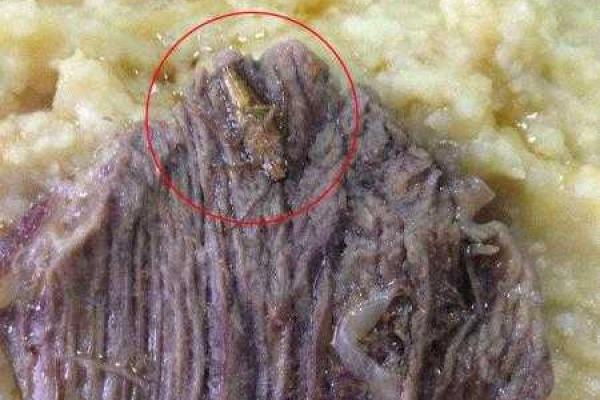 Чем кормят украинских солдат: Бирюков показал шокирующие фото Чем кормят украинских солдат: Бирюков показал шокирующие фото