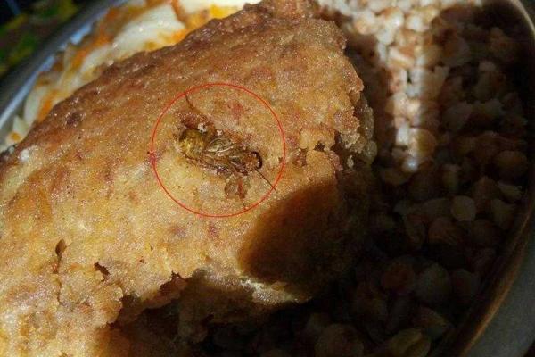 Чем кормят украинских солдат: Бирюков показал шокирующие фото Чем кормят украинских солдат: Бирюков показал шокирующие фото