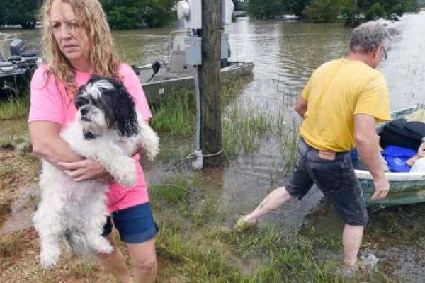 Стихия в Луизиане: люди выбираются из затопленных домов и спасают животных Стихия в Луизиане: люди выбираются из затопленных домов и спасают животных