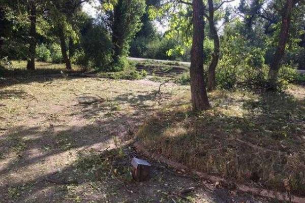 Появились фото изуродованной обстрелами школы в Донецке