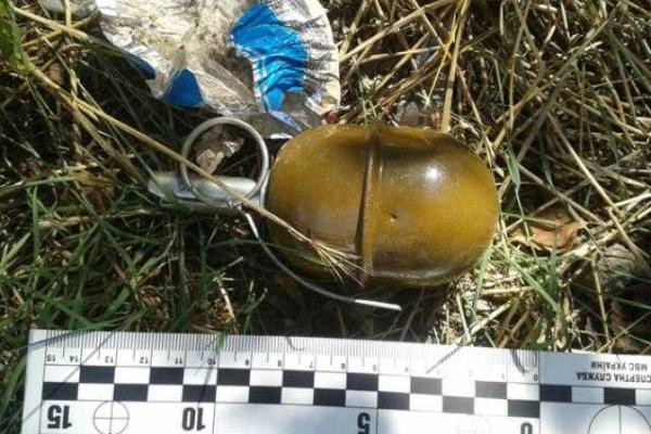 В Константиновке мужчина обнаружил опасную находку: боевые гранаты лежали прямо на улице В Константиновке мужчина обнаружил опасную находку: боевые гранаты лежали прямо на улице