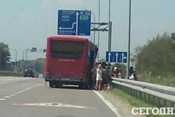 В Киевской области произошло масштабное ДТП: автобус с пассажирами опрокинул грузовик В Киевской области произошло масштабное ДТП: автобус с пассажирами опрокинул грузовик