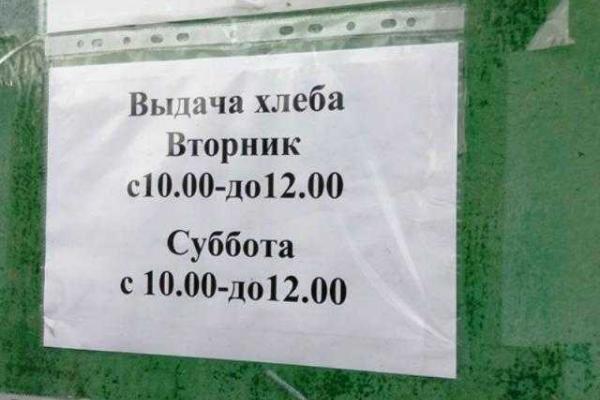 Жители прифронтового поселка Зайцево - на грани выживания Жители прифронтового поселка Зайцево - на грани выживания