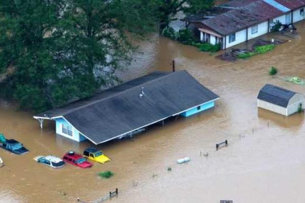 Стихия в Луизиане: люди выбираются из затопленных домов и спасают животных Стихия в Луизиане: люди выбираются из затопленных домов и спасают животных