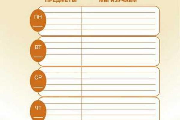 На оккупированных территориях Донецкой области первоклассники получат дневники с вопросами о "ДНР"