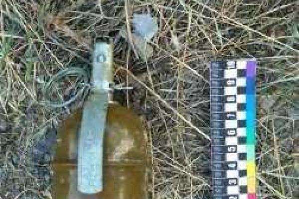 В Николаеве чудом удалось избежать беды: дети нашли в кустах гранату В Николаеве чудом удалось избежать беды: дети нашли в кустах гранату