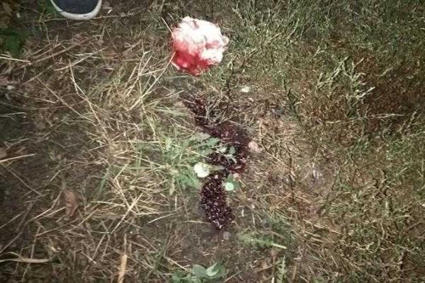 В Киевской области произошел жуткий инцидент: несовершеннолетние устроили стрельбу во время ссоры В Киевской области произошел жуткий инцидент: несовершеннолетние устроили стрельбу во время ссоры