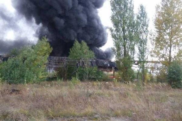 Пожар в Киевской области: в небо поднялся огромный столб черного дыма