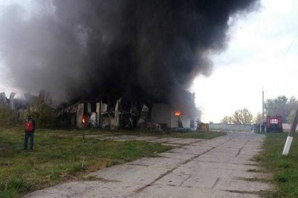 Пожар в Киевской области: в небо поднялся огромный столб черного дыма