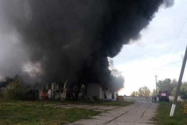 Пожар в Киевской области: в небо поднялся огромный столб черного дыма