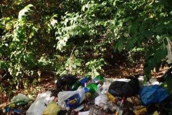 Зоны отдыха в центре Донецка утопают в кучах мусора Зоны отдыха в центре Донецка утопают в кучах мусора