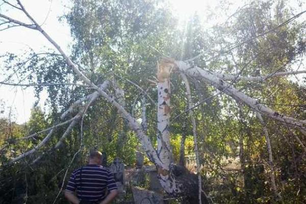 Обстрел Авдеевки: полиция опубликовала фото разрушений Обстрел Авдеевки: полиция опубликовала фото разрушений