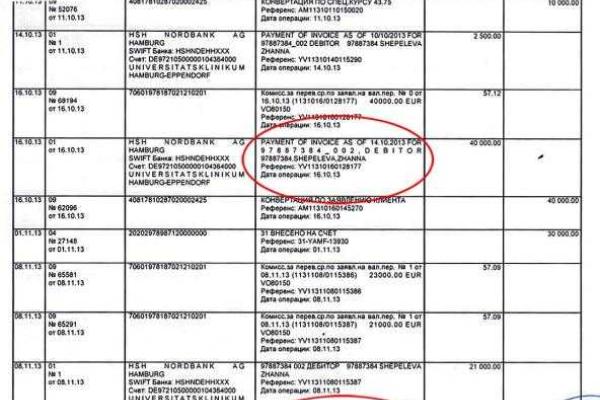 Дмитрий Шепелев использовал чужое имя, чтобы тратить деньги Жанны Фриске