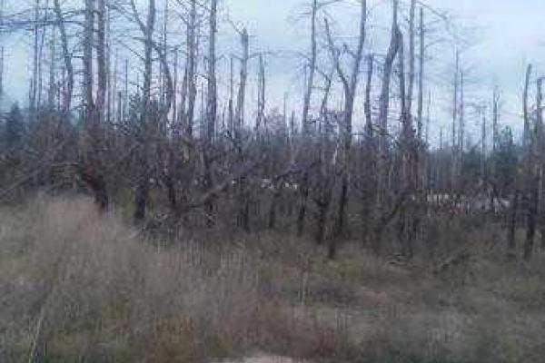 Семенченко: Почему нельзя "разводить войска" в населенных пунктах?