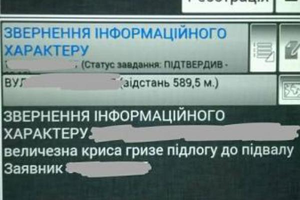 Курьезы: украинский патрульный показал самые причудливые обращения граждан