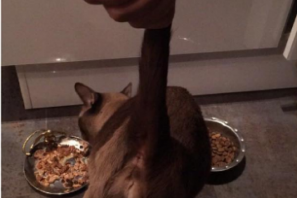 Музыкант Сергей Шнуров поделился странным фото