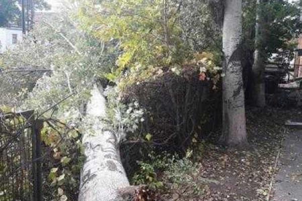Курортный поселок Кирилловка ушел под воду Курортный поселок Кирилловка ушел под воду
