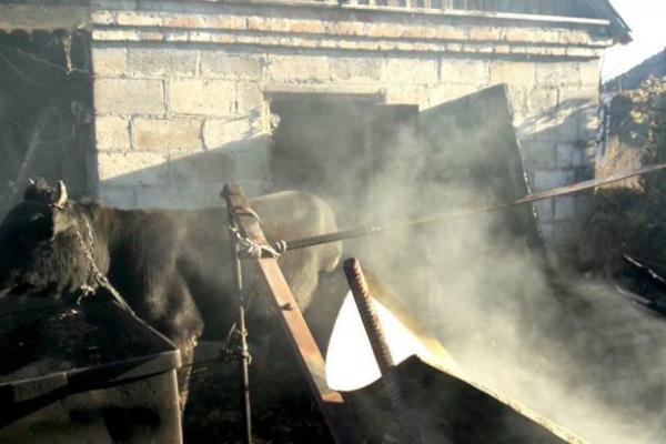 Опубликованы шокирующие снимки обстрела Марьинки (18+)