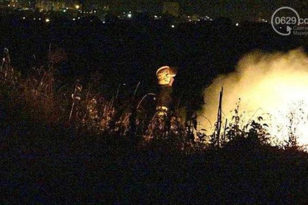 В Мариуполе произошел сильный пожар: горящая трава чуть не спалила частные дома В Мариуполе произошел сильный пожар: горящая трава чуть не спалила частные дома