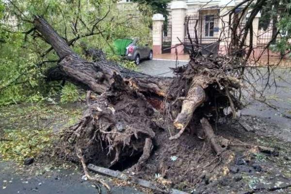 Мощный шторм нанес Одессе значительный ущерб