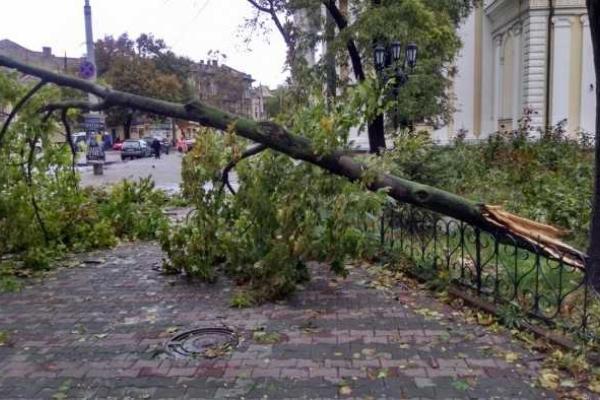 Мощный шторм нанес Одессе значительный ущерб