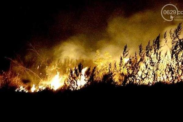 В Мариуполе произошел сильный пожар: горящая трава чуть не спалила частные дома В Мариуполе произошел сильный пожар: горящая трава чуть не спалила частные дома