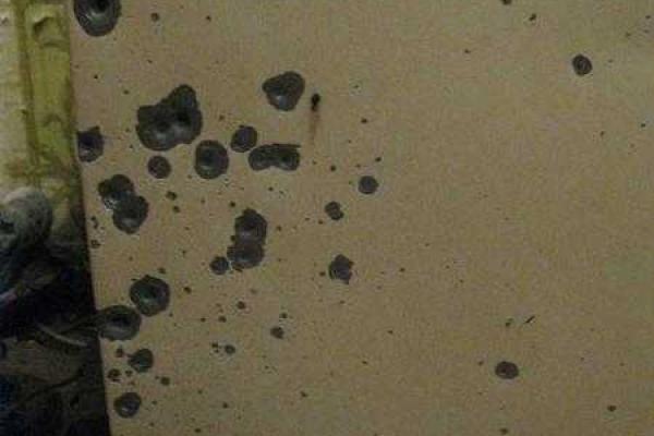 В Сумской области произошла трагедия: ребенок подорвал гранату в собственном доме В Сумской области произошла трагедия: ребенок подорвал гранату в собственном доме