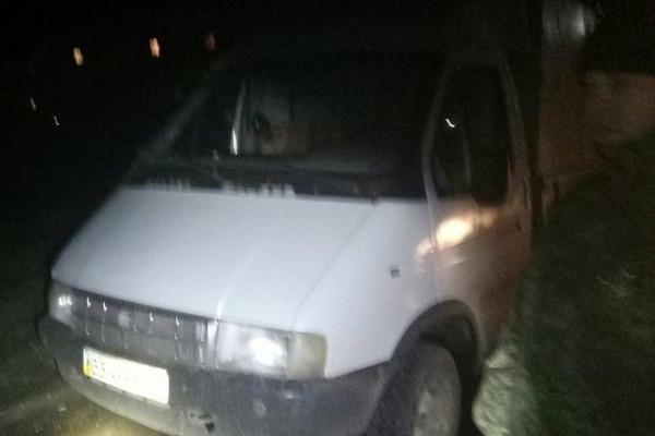 Правоохранители Луганщины помешали вывезти за границу животных без бирок