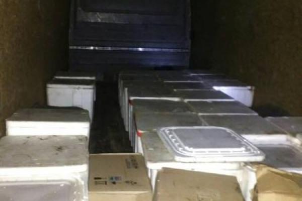 На Луганщині затримали авто, яким перевозили в об'їзд блокпостів консерви та червону ікру На Луганщині затримали авто, яким перевозили в об'їзд блокпостів консерви та червону ікру