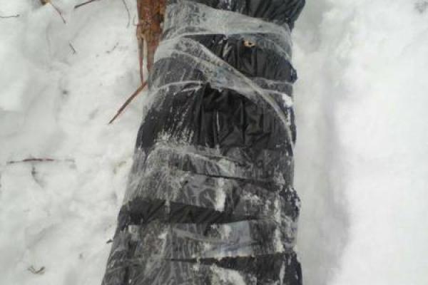 СБУ обнаружила в районе проведения АТО 4 тайника с оружием