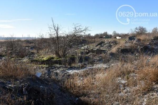 В Мариуполе произошел шокирующий инцидент: собаки нашли на свалке останки человека