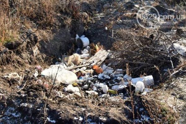 В Мариуполе произошел шокирующий инцидент: собаки нашли на свалке останки человека