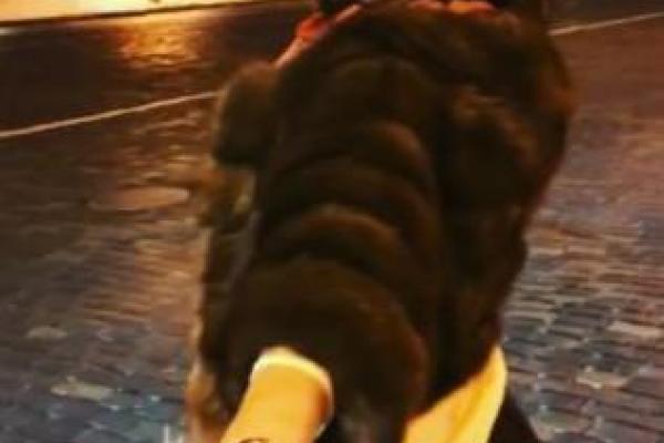 Телеведущая Ольга Бузова заинтриговала снимком с таинственным незнакомцем