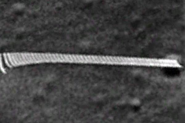 Ученые заметили на Луне 130-метровый позвоночник неизвестного существа: появилось фото