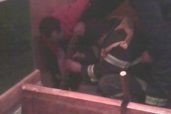 В Ужгороде произошел шокирующий инцидент: от хозяина сбежал трехметровый тигровый питон