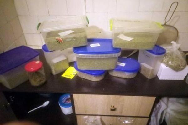 В Краматорске арестовали плантатора конопли 