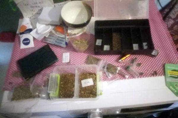 В Краматорске арестовали плантатора конопли 