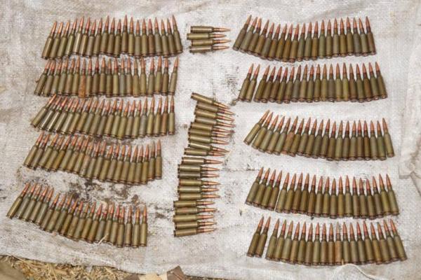 Житель Лисичанска "выращивал" в теплице боеприпасы