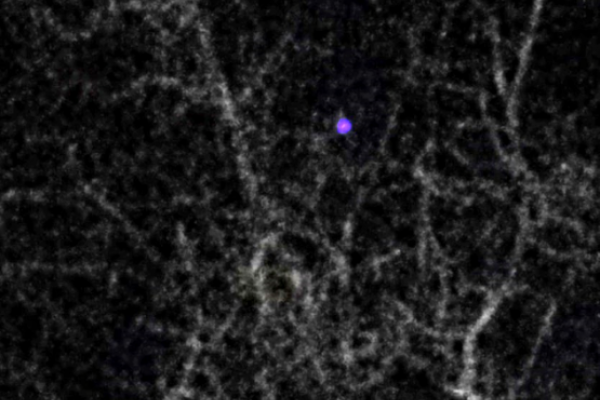 Житель Ростова сфотографировал НЛО: кораблей пришельцев было около 30-ти Житель Ростова сфотографировал НЛО: кораблей пришельцев было около 30-ти