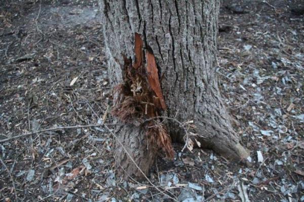 В Авдеевке полностью разрушены несколько домов местных жителей, - штаб АТО