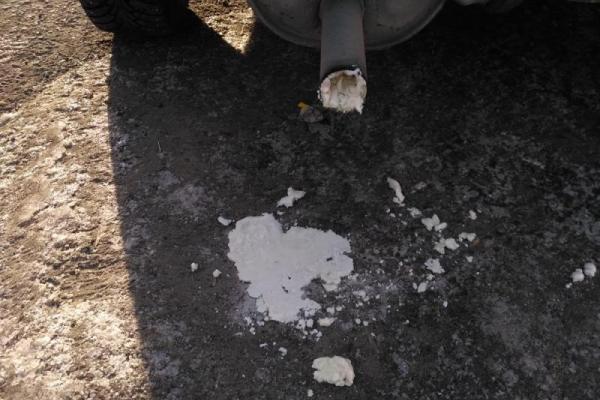 Команду Навального залили монтажной пеной: Путин провел успешную спецоперацию Команду Навального залили монтажной пеной: Путин провел успешную спецоперацию