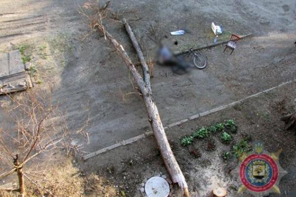 В Донецкой области произошла трагедия: упавшее дерево убило велосипедиста В Донецкой области произошла трагедия: упавшее дерево убило велосипедиста