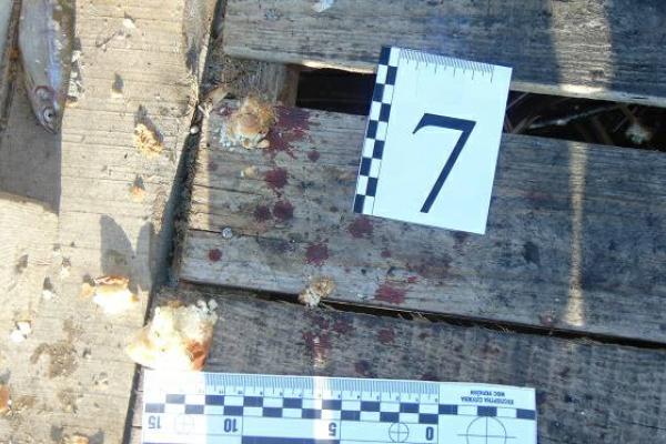 На киевской Оболони в озере нашли труп женщины На киевской Оболони в озере нашли труп женщины