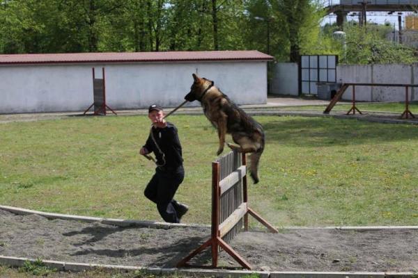 Евровидение-2017: За безопасностью киевлян и гостей города будут следить 10 тысяч силовиков