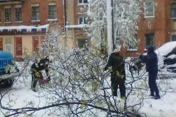 В Украине из-за непогоды остаются обесточенными 199 населенных пунктов