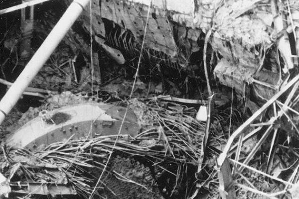 Герои Чернобыля - тридцать первая весна