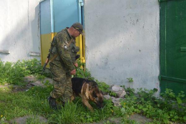 Информация о минировании сквера в Мирнограде не подтвердилась Информация о минировании сквера в Мирнограде не подтвердилась